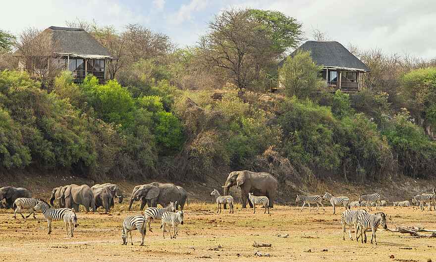Leroo la Tau Lodge: Elefanten und Zebras Leroo la Tau Lodge: Elefanten und Zebras