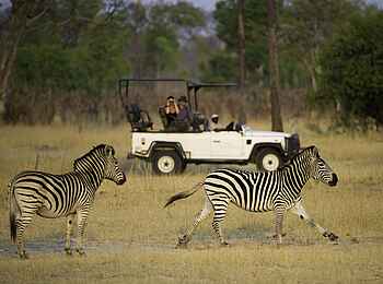 Little Makalolo Camp: Zebras Little Makalolo Camp: Zebras