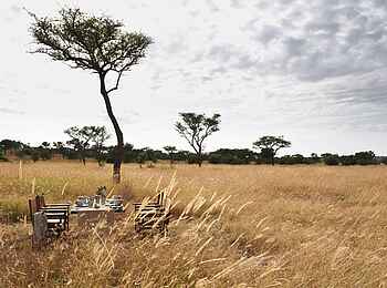 Singita Explore Mobile Tented Camp: Buschmahlzeit Singita Explore Mobile Tented Camp: Buschmahlzeit