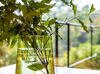 Singita Sweni Lodge: Blumenvase