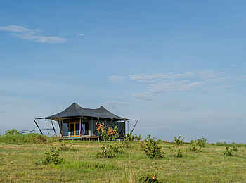 Mara Mara Tented Lodge: Glastür zum Gästezelt Mara Mara Tented Lodge: Glastür zum Gästezelt
