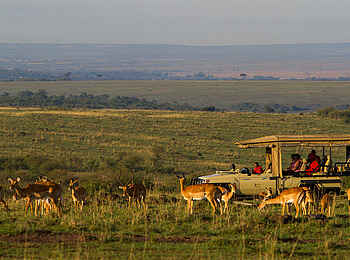 Mara Ngenche Camp: Game Drive