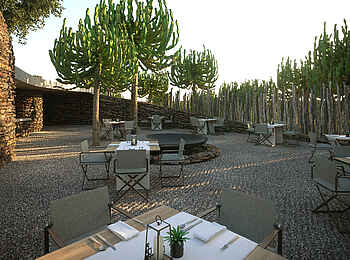 Mashatu Euphorbia Villas: Euphorbien und Feuerschale