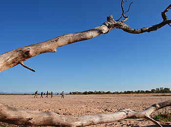 Time + Tide Luwi: Einsamer Busch Walk