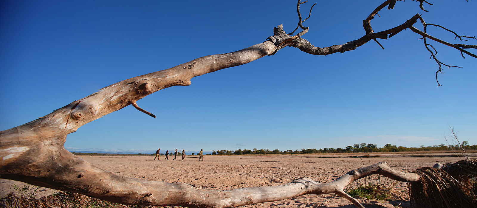 Time + Tide Luwi: Einsamer Busch Walk Time + Tide Luwi: Einsamer Busch Walk