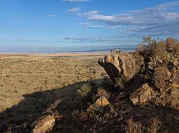 Borana Lodge: Der Pride Rock Borana Lodge: Der Pride Rock
