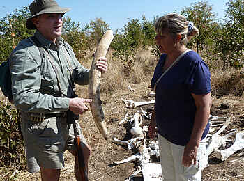 Camp Hwange: Walking Safari