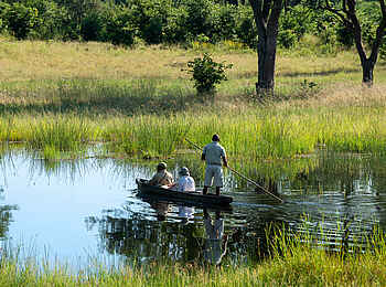 Khwai Leadwood: Mokorofahrt