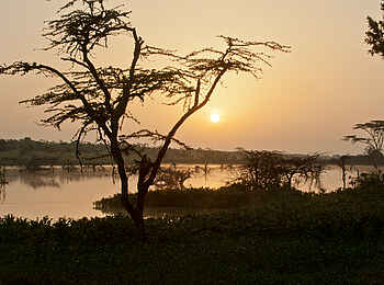 Kicheche Laikipia Camp: Sonnenuntergang