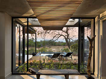 Lion Sands Ivory Lodge: Fenster der Suite