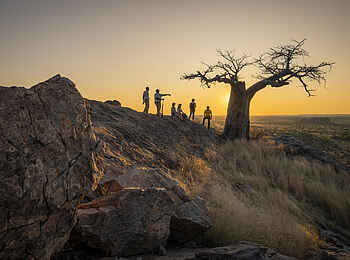 Mashatu Euphorbia Villas: Walking Safari