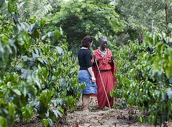 Ngorongoro Farmhouse: Plantagen der Farm Ngorongoro Farmhouse: Plantagen der Farm