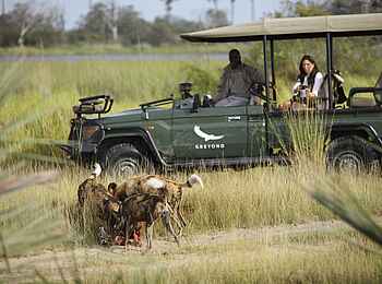 Nxabega Okavango Tented Camp: Pirschfahrt