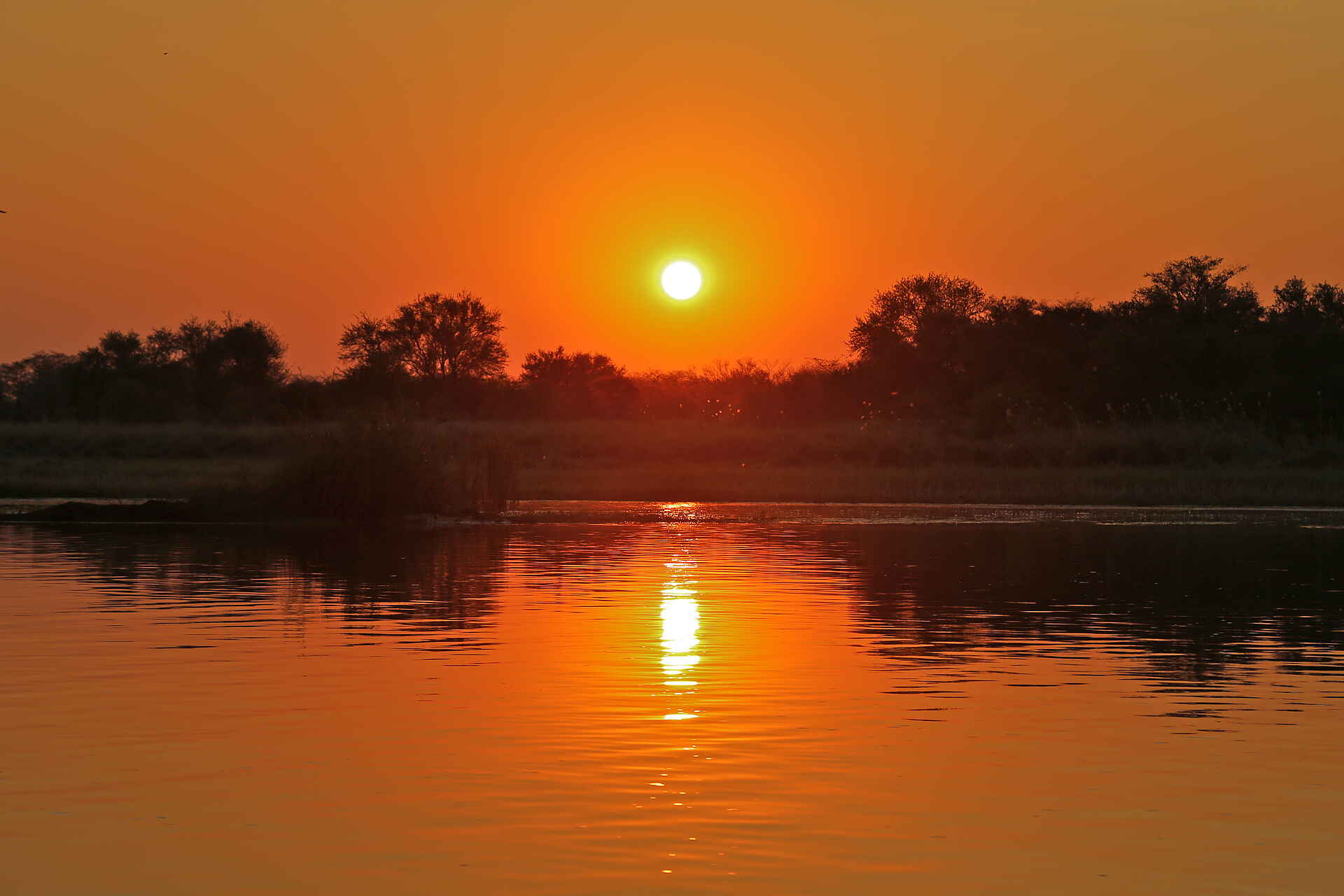 Taranga Safari Lodge: Sonnenuntergang am Okavango River Angola, Caiprivi, Caiprivi-Streifen, Camping, Flussufer, Jacobus Bruwer, Luxus, Namibia, Okavango, Okavango River, Rundu, Taranga, Taranga Safari Lodge, Zeltchalets, Panorama, Sonnenuntergang, Sunset, afrikarma, afrikarma.de, Afrikarma Safaris