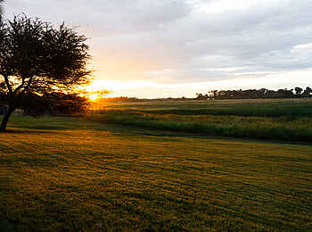 Thamalakane River Lodge: Blick in die Umgebung