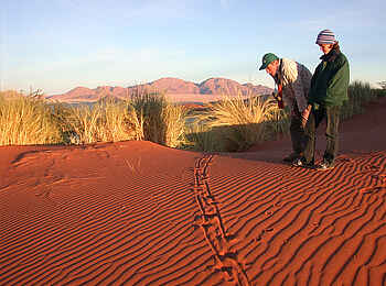 Wolwedans Dune Camp: Spurenlesen Wolwedans Dune Camp: Spurenlesen