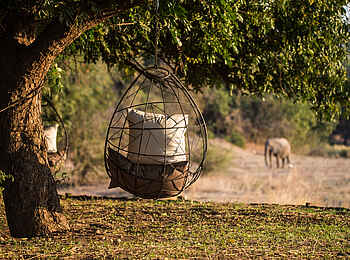 Chikwenya Camp: Schaukelstuhl