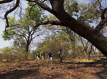 Kanana Camp: Mittendrin in der Natur