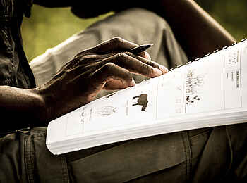 Mombo Camp: Tierbestimmungen Mombo Camp: Tierbestimmungen