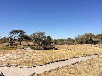 Camp Savuti: Beobachtungsplattform