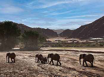 Hoanib Elephant Camp: Elefanten vor dem Camp