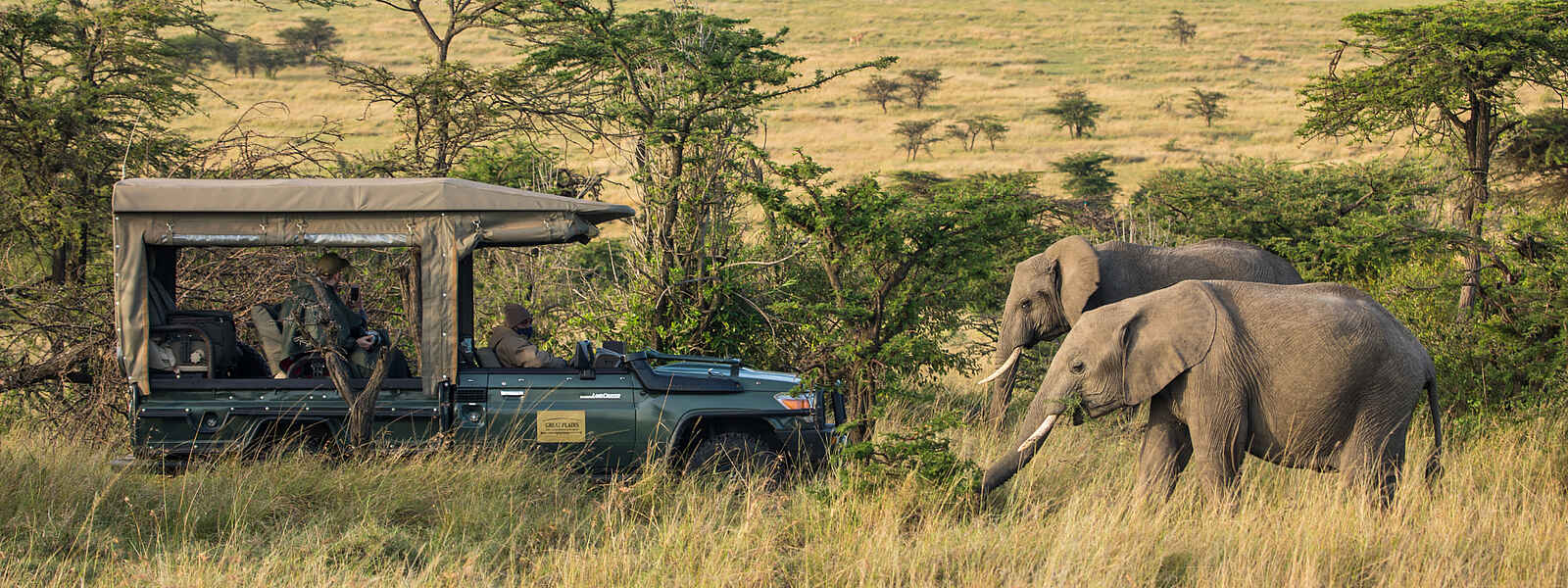 Mara Plains Jahazi Suite: Elefantenbegegnung Mara Plains Jahazi Suite: Elefantenbegegnung