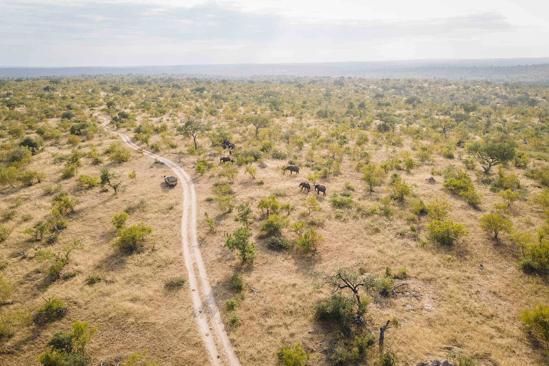 Mohlabetsi Safari Lodge: Auf Pirschfahrt