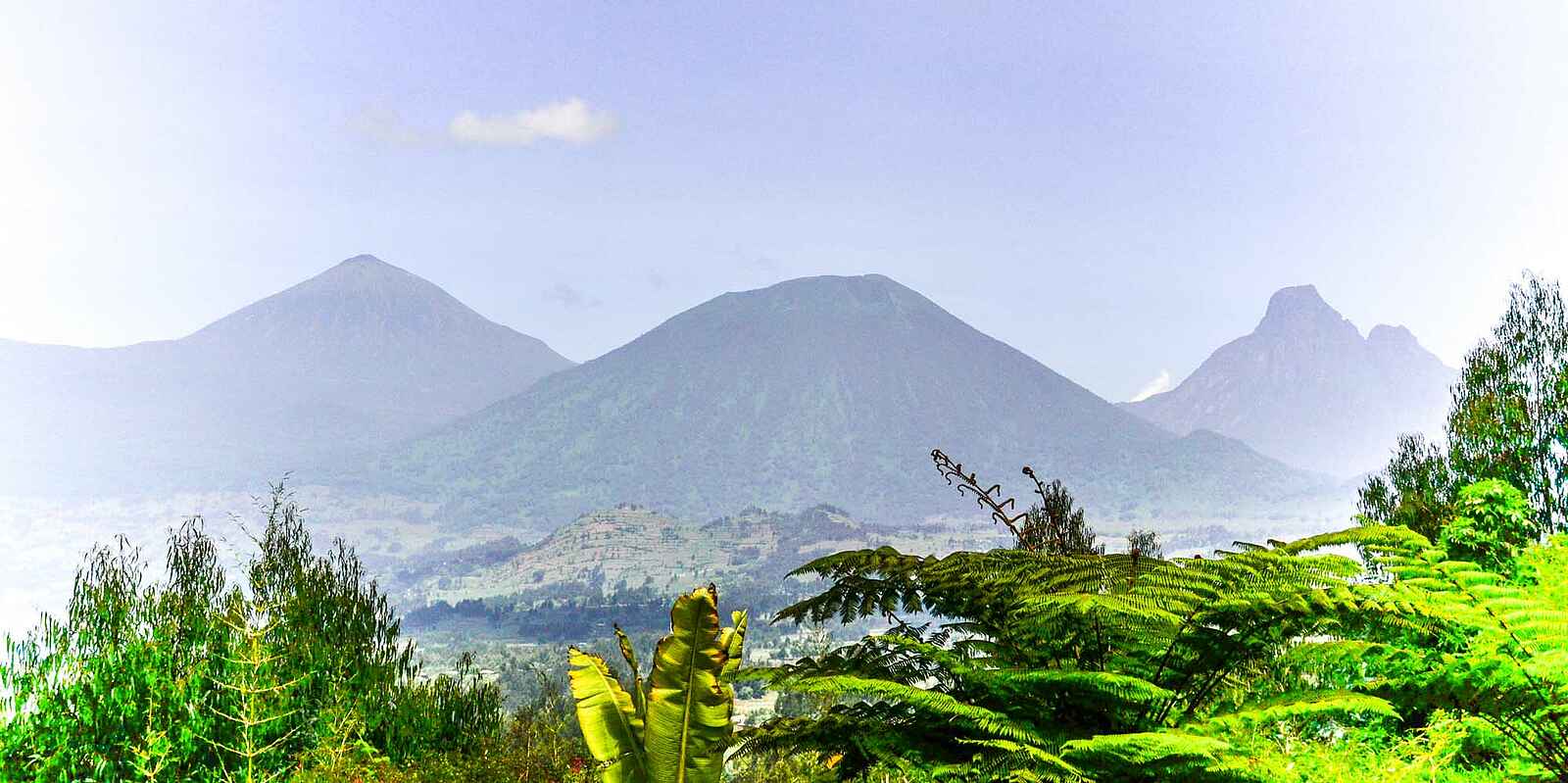 Sabyinyo Silverback Lodge: Virunga Vulkane Sabyinyo Silverback Lodge: Virunga Vulkane