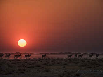 Safari House: Sonnenuntergang Safari House: Sonnenuntergang