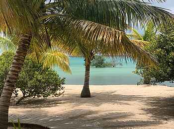 Sussurro: Strand mit Palmen Sussurro: Strand mit Palmen