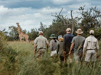 Tsowa Safari Island Lodge: Eine Wandersafari