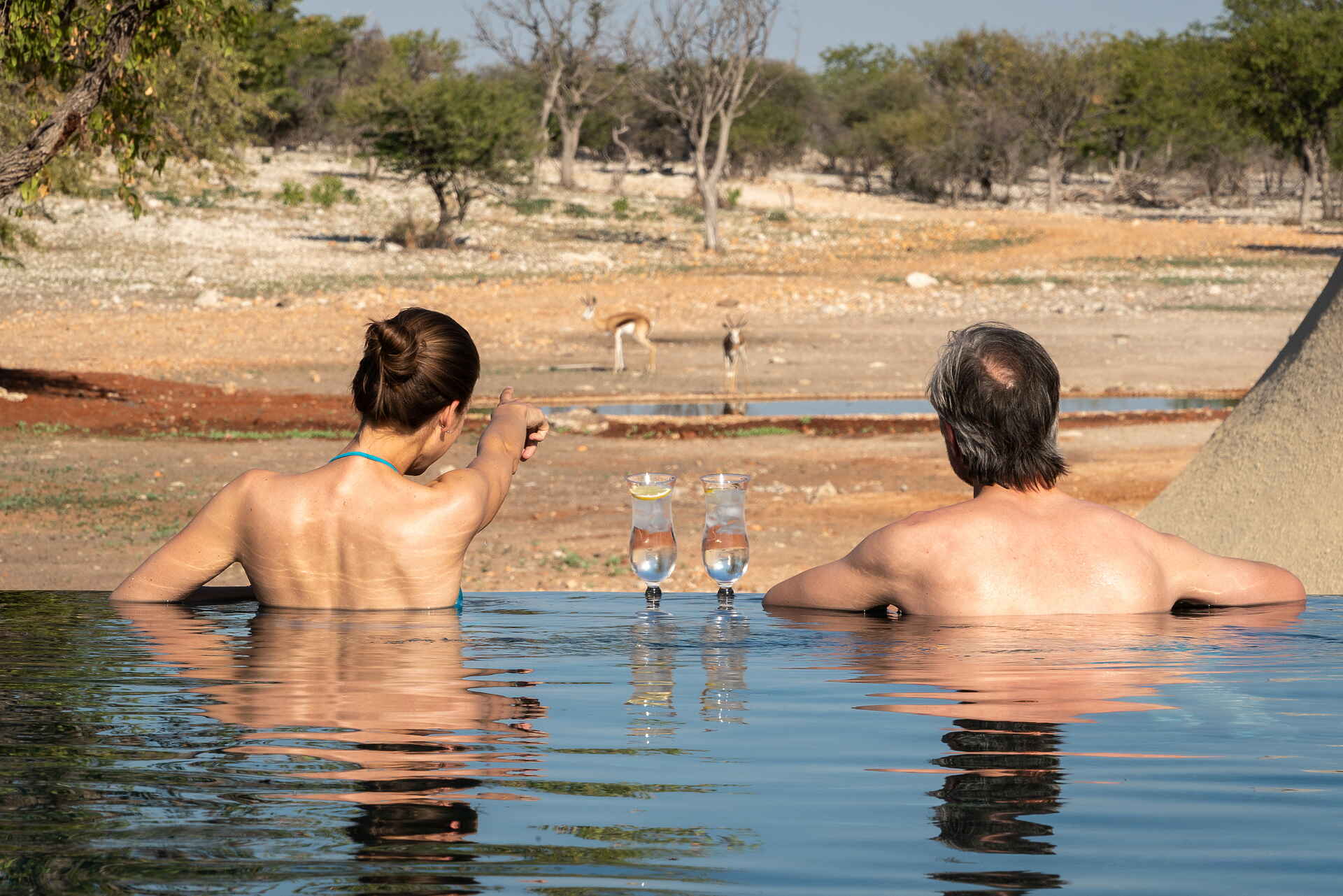 Afrikarma, Afrikarma Safaris, Afrikarma Safaris - Wildnis. Hautnah., Afrikarma.de, Anderssons At Ongava, Bäume, Büsche, Gläser, Springböcke, Swimmingpool, Wasserloch