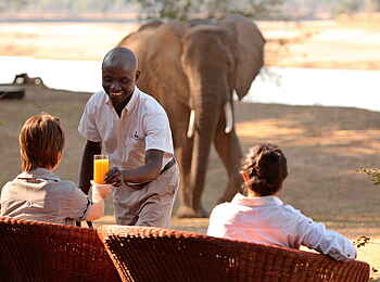 Time + Tide Mchenja: Elefant zu Besuch beim Frühstück