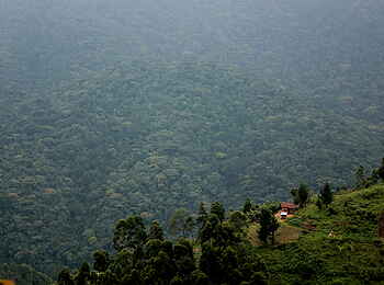 Buhoma Lodge: Steile Hänge