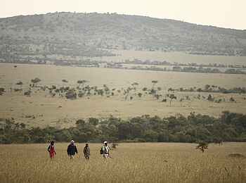 Klein's Camp: Zu Fuß im Busch
