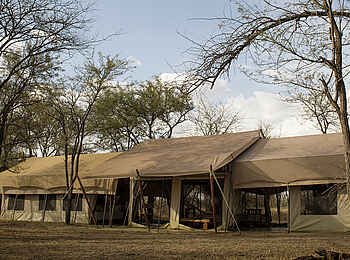 Kusini Serengeti Camp: Ansicht