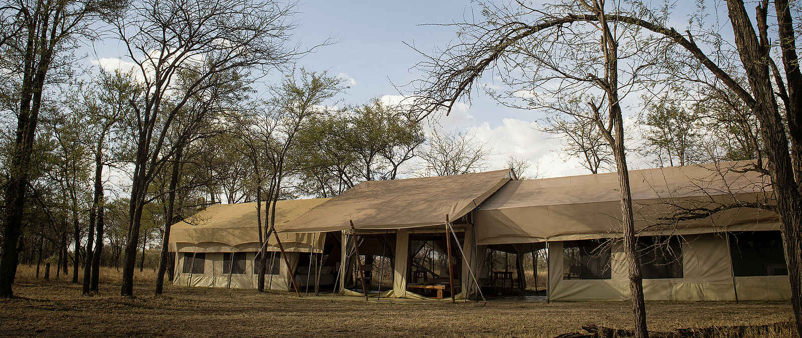 Kusini Serengeti Camp: Ansicht Kusini Serengeti Camp: Ansicht