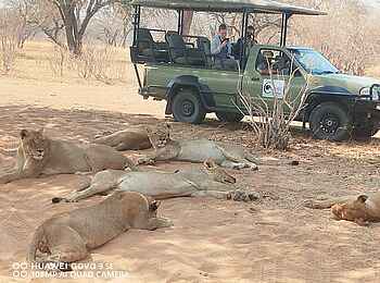 Lenyebi River Lodge: Eine Pirschfahrt Lenyebi River Lodge: Eine Pirschfahrt