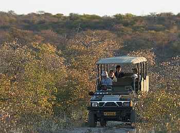 Little Ongava: Sunset Drive Little Ongava: Sunset Drive