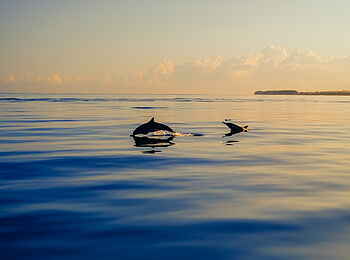 LUX Le Morne: Delphine LUX Le Morne: Delphine