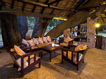 Nkwali Camp: Lounge