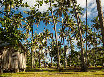 North Island: Inseltour mit dem Fahrrad