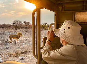 Onguma Forest Camp: Pirschfahrt