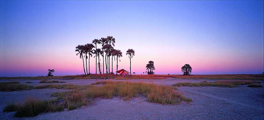 San Camp: Gästezelt unter Fächerpalmen San Camp: Gästezelt unter Fächerpalmen