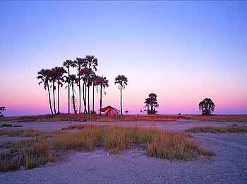 San Camp: Gästezelt unter Fächerpalmen