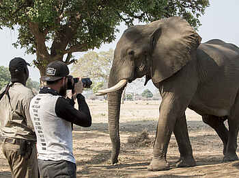 Nyamatusi Camp: Elefantenfoto von der Seite Nyamatusi Camp: Elefantenfoto von der Seite