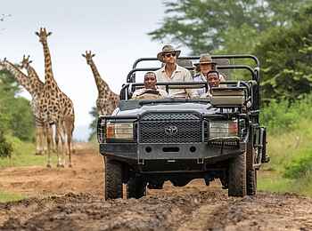 andBeyond Phinda Vlei Lodge: Giraffen auf Pirschfahrt treffen