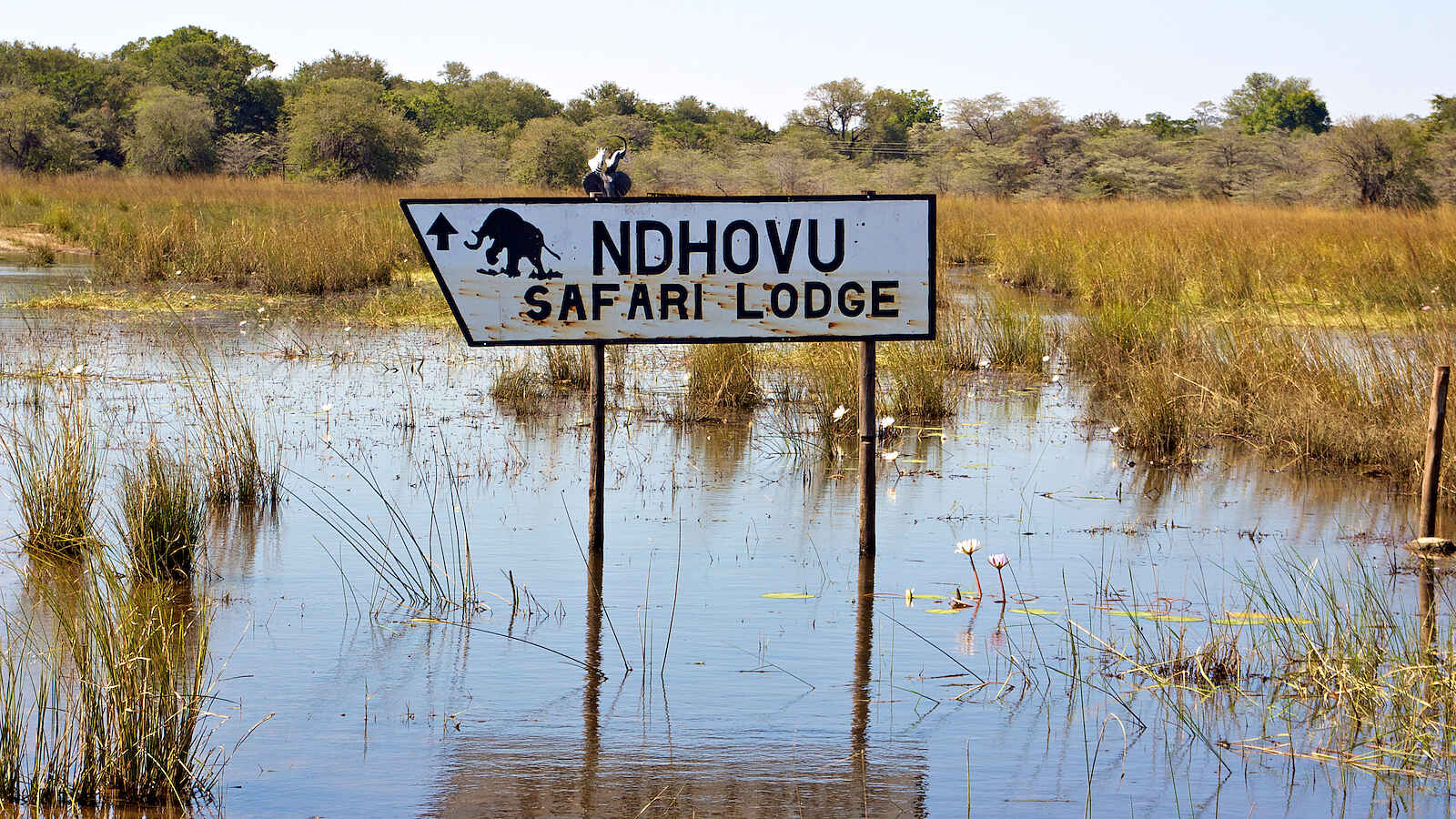 Ndhovu Safari Lodge: Hochwasser am Okavango Ndhovu Safari Lodge: Hochwasser am Okavango