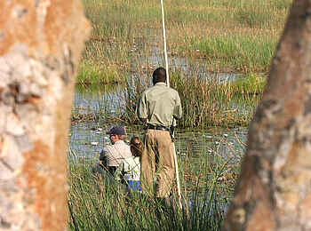 Pom Pom Camp: Mokoroausflug Pom Pom Camp: Mokoroausflug
