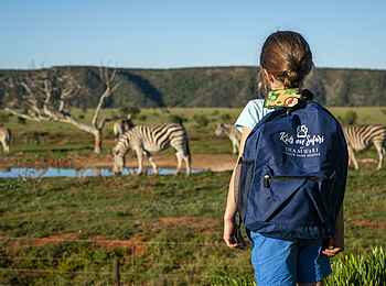 Riverdene Family Lodge: Walking Safari Riverdene Family Lodge: Walking Safari